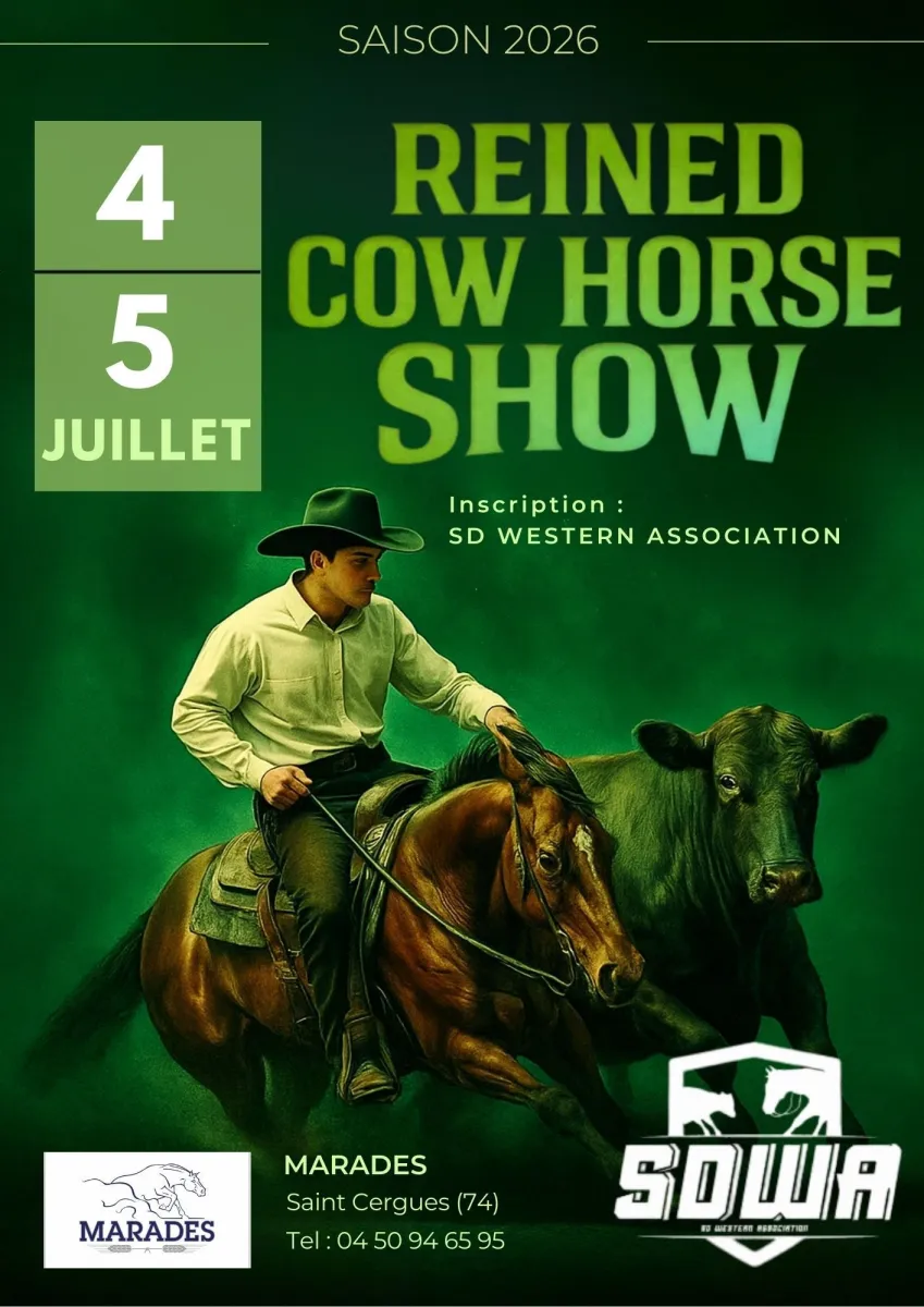 MARADES REINED COWHORSE #1