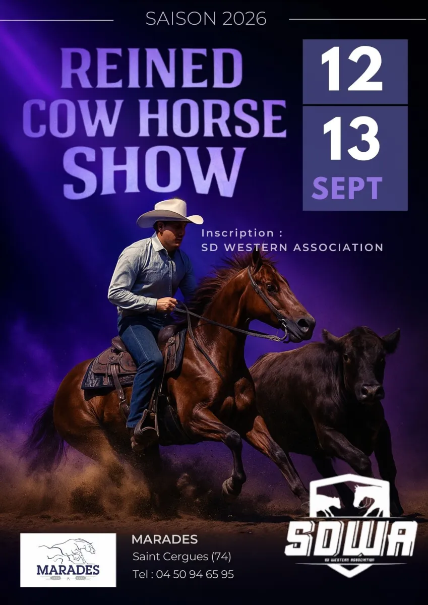 MARADES REINED COWHORSE #2